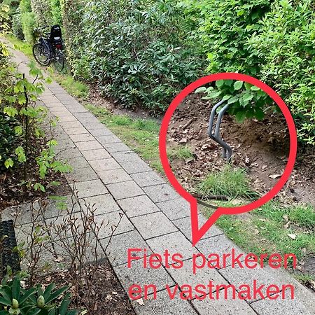Wilde Moeflon, Geniet Van De Vrije Natuur! أوتيرلو المظهر الخارجي الصورة