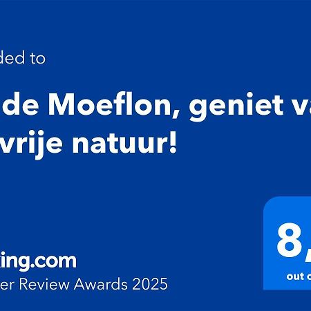 Wilde Moeflon, Geniet Van De Vrije Natuur! أوتيرلو المظهر الخارجي الصورة