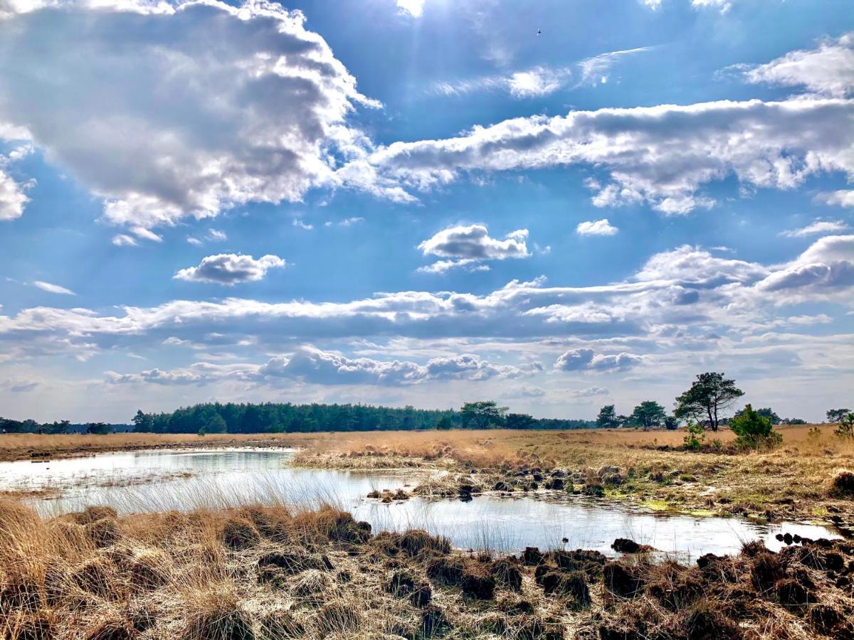 Wilde Moeflon, Geniet Van De Vrije Natuur! أوتيرلو المظهر الخارجي الصورة