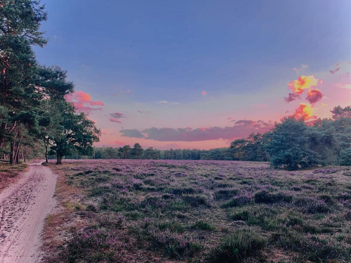 Wilde Moeflon, Geniet Van De Vrije Natuur! أوتيرلو المظهر الخارجي الصورة