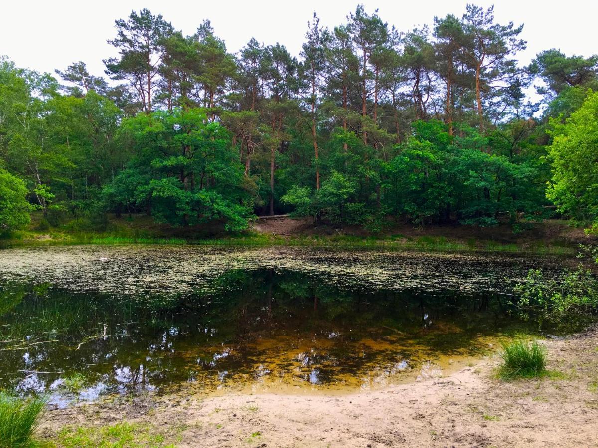 Wilde Moeflon, Geniet Van De Vrije Natuur! أوتيرلو المظهر الخارجي الصورة