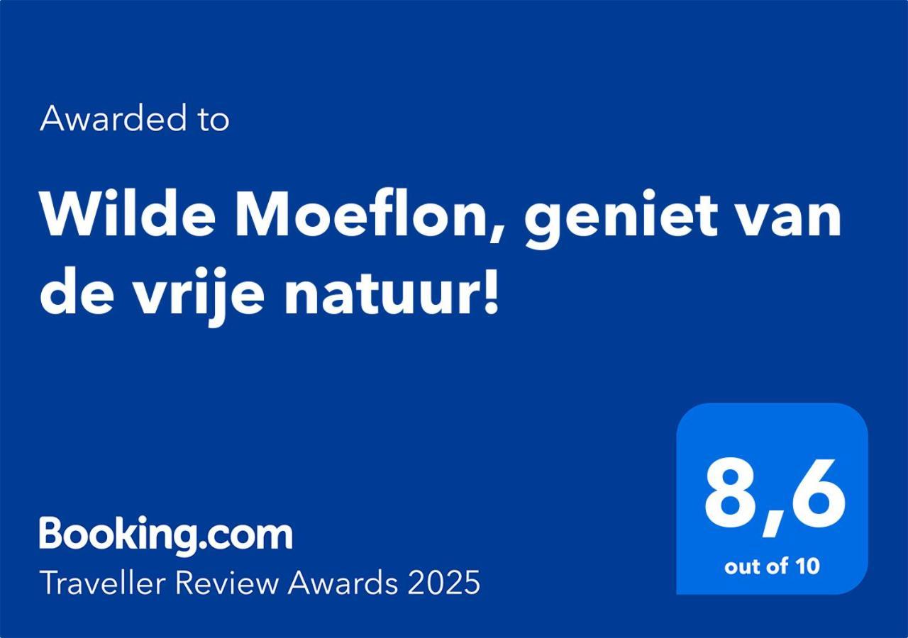 Wilde Moeflon, Geniet Van De Vrije Natuur! أوتيرلو المظهر الخارجي الصورة